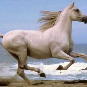 Meet your Posher, Fatima